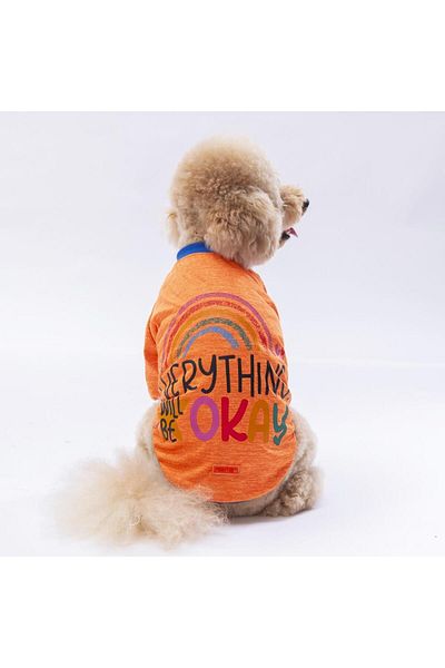 Pawstar Orange Everything Cat Dog Sweatshirt - Cat Dog Outfit