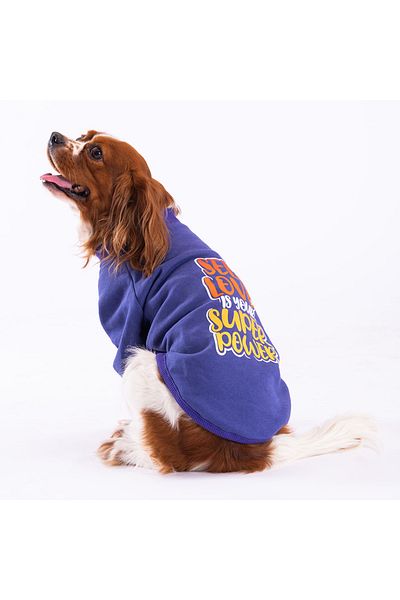 Pawstar Purple Power Dog Sweati Dog Outfit Cat Outfit