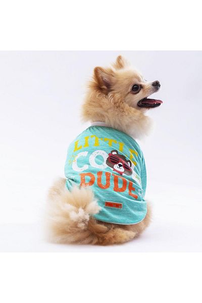 Pawstar Mint Dude Cat Dog Sweatshirt - Cat Dog Outfit
