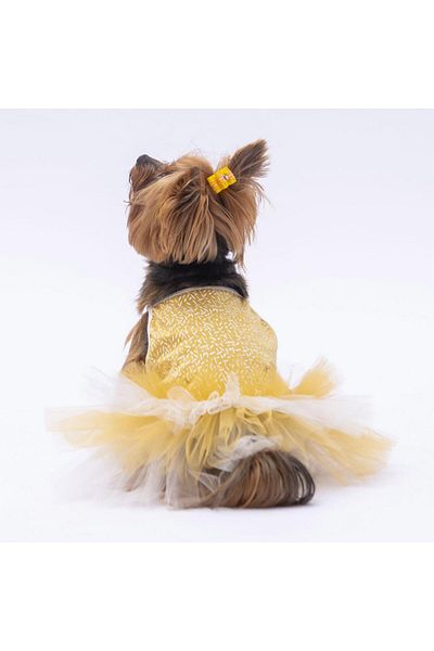 Pawstar Polka-Dot Yellow Cat Dog Dress - Outfit