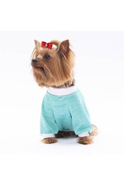 Pawstar Mint Fun Day Cat Dog Sweatshirt - Cat Dog Outfit