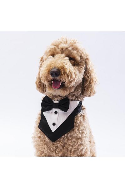 Pawstar Black Tuxedo Cat Dog Scarf Pet Bandana