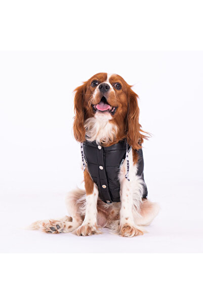 Pawstar Siyah Railway Anorak Yelek Köpek Yeleği Köpek Kıyafeti Köpek Yağmurluk