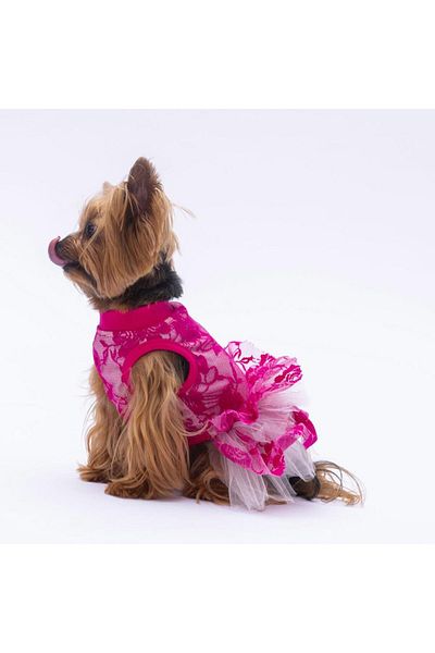 Pawstar Cat Dog Dress - Pink Rosa Outfit