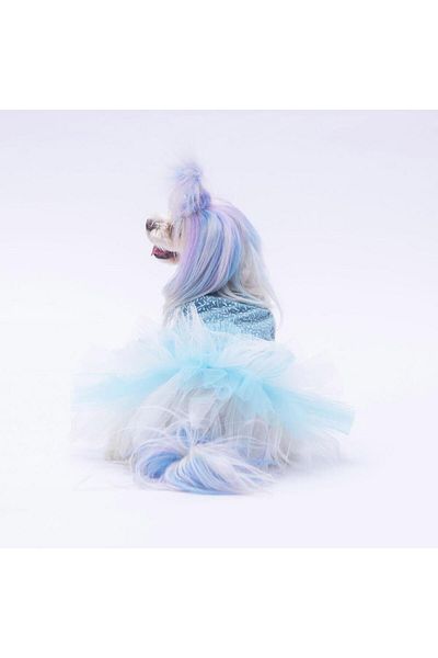 Pawstar Polka-Dot Patterned Blue Cat Dog Dress