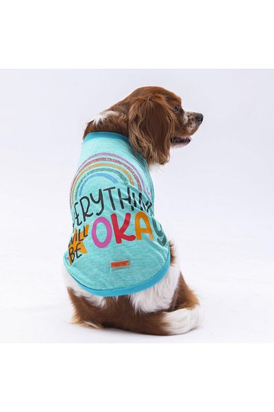 Pawstar Mint Everything Cat Dog Sweatshirt - Cat Dog Outfit