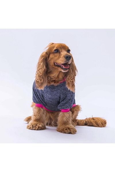 Pawstar Anthracite Shine Cat Dog Sweatshirt - Outfit Patterned