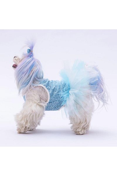 Pawstar Polka-Dot Patterned Blue Cat Dog Dress