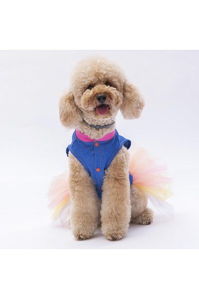 Pawstar Ice Cream Cat Dog Dress - Cat Dog Clothes