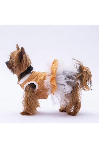 Pawstar Primavera Brown Cat Dog Dress - Outfit