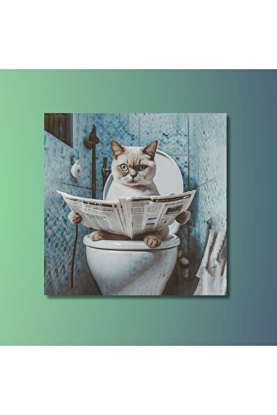 Şehzat Design Tekli Kare Kanvas Banyo Tablosu Gazete Okuyan Beyaz British Shorthair