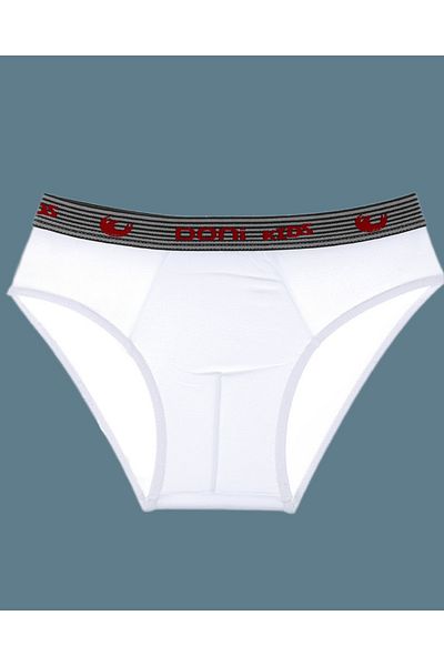 KAMİKAM Quality Double Briefs Set 100% Cotton