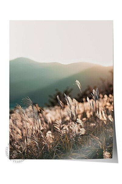 Postifull Poster Sunlight Grass, poster de perete fără cadru, pictură vertica...