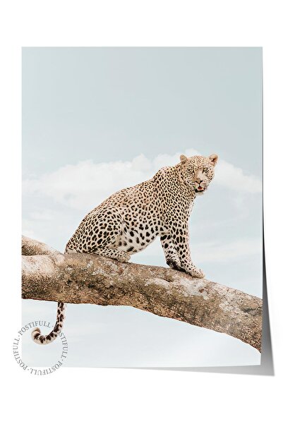 Postifull Resting Leopard Poster, Çerçevesiz Duvar Posteri, Dikey Duvar Tablo...