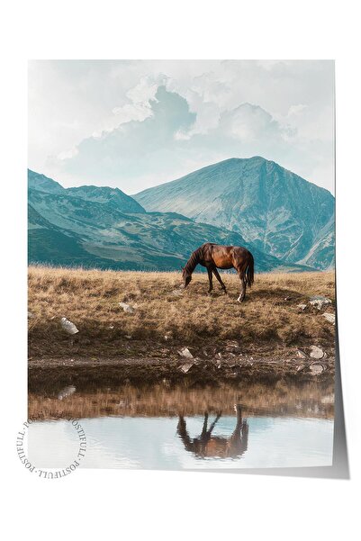 Postifull Poster cu cal de la Highland, poster de perete fără cadru, pictură ...