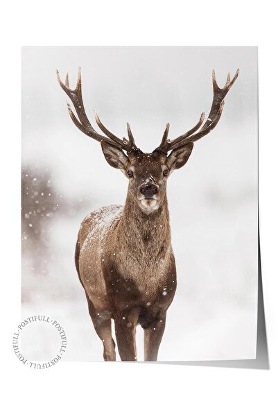 Postifull Red stag Poster, Yılbaşı Duvar Posteri, Dikey Duvar Tablosu Comfort...