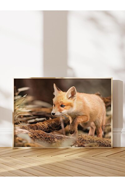 Postifull Pictură înrămată cu rafinament Forest Fox, cadru din lemn și poster...