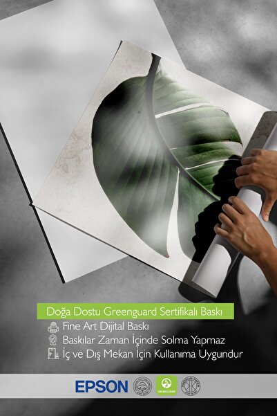 Postifull Green Strelitzia Leaf Poster, Vertical Wall Painting Comfort Series No: 108550