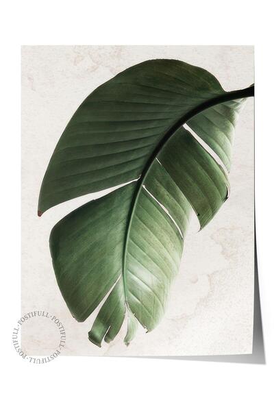 Postifull Green Strelitzia Leaf Poster, Dikey Duvar Tablosu Comfort Serisi NO...
