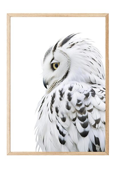 Postifull Pictură înrămată cu bufniță, cadru din lemn și poster, pictură vert...