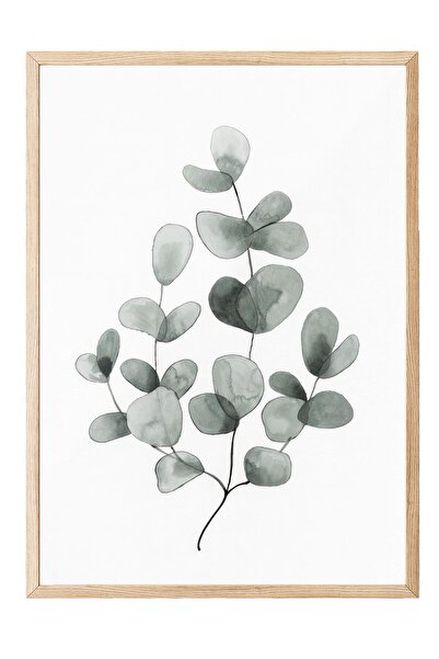 Postifull Eucalyptus No1 Çerçeveli Tablo, Ahşap Çerçeve ve Poster, Duvar Tabl...