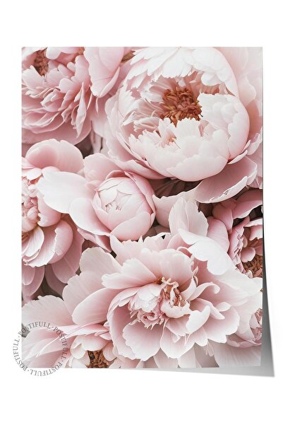 Postifull Poster Pink Peony Dream, poster de perete fără cadru, pictură verti...