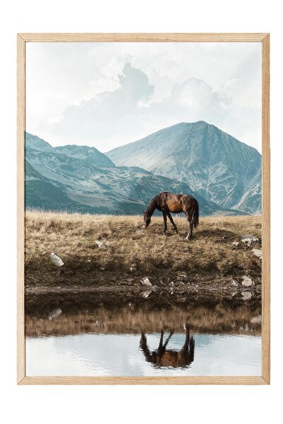 Postifull Highland Horse  Çerçeveli Tablo, Ahşap Çerçeve ve Poster, Duvar Tab...