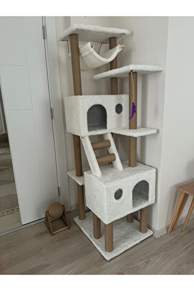 pethomealpi Cat Scratching House and Play Platform 100% Warranty