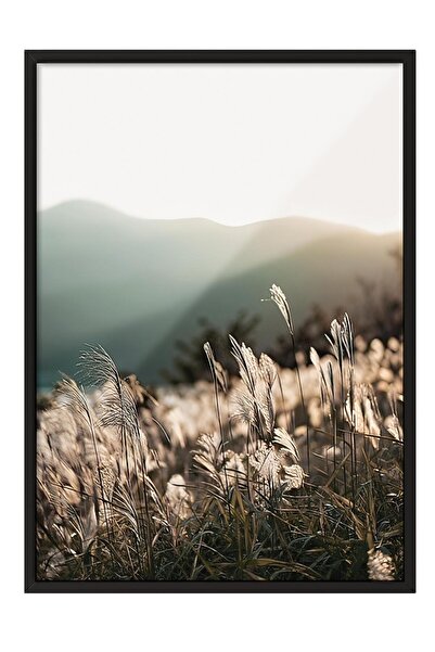 Postifull Картина «Сонячне світло на траві» в рамці, чорна рамка і постер, на...