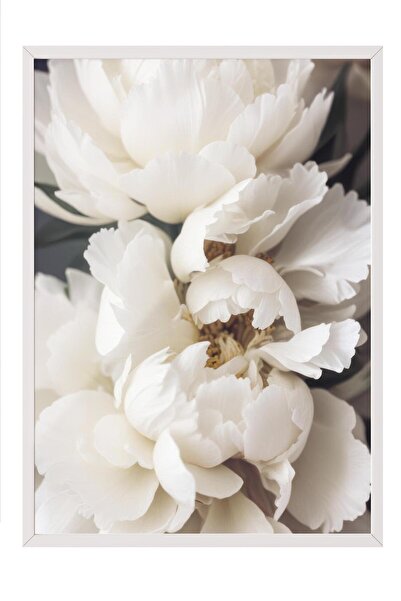 Postifull Peonies in Bloom Çerçeveli Tablo, Beyaz Çerçeve ve Poster, Duvar Ta...