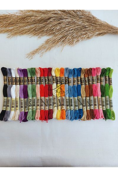 Dmc Muline Vivid Yarn Set with 27 Colors