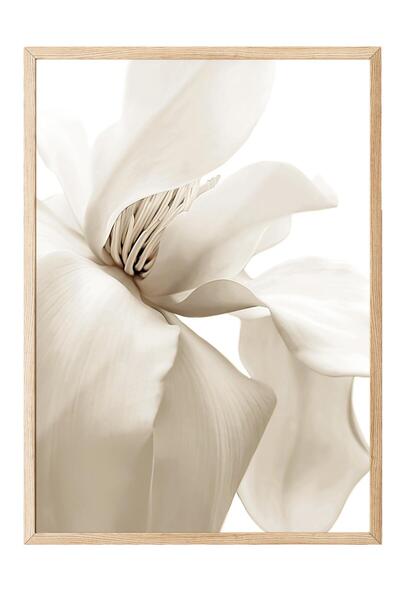 Postifull Beige Magnolia Yılbaşı Tablo, Ahşap Çerçeve ve Poster, Duvar Tablos...