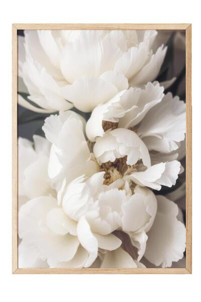 Postifull Peonies in Bloom Çerçeveli Tablo, Ahşap Çerçeve ve Poster, Duvar Ta...