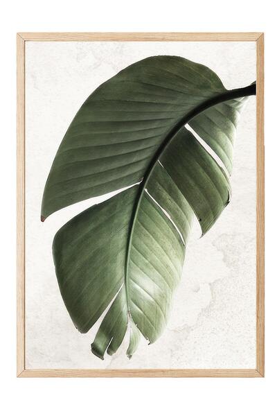 Postifull Green Strelitzia Leaf Framed Painting, Vertical Wall Painting Comfort Series No:108550