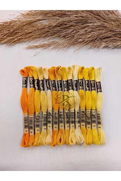 Dmc Muline Yellow Colors Set of 14 Thread