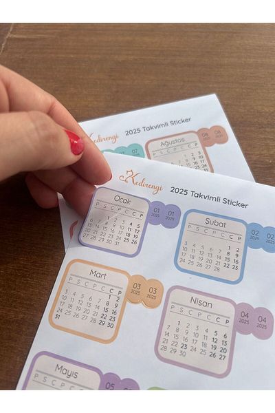 Kedirengi 2025 Bullet Journal Sticker - with Monthly Calendar