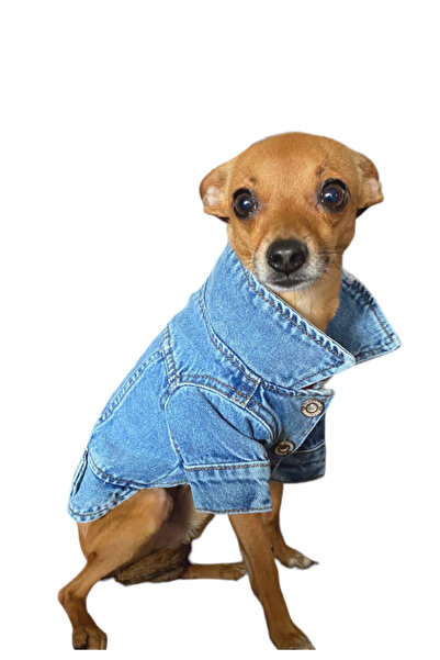 ZIGGYDOG Ceket Köpek Kot Kıyafetı