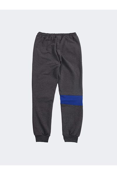Fenerium Fenerbahce Herren Tribune Basic Single Bottom Jogginghose