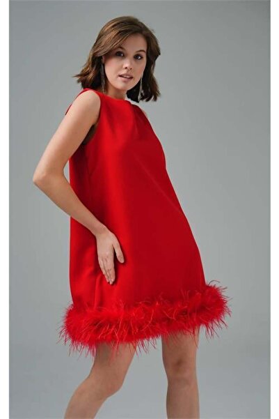 Dipmoda Rochie de seară mini din țesătură atlas cu detalii din pene pentru fe...