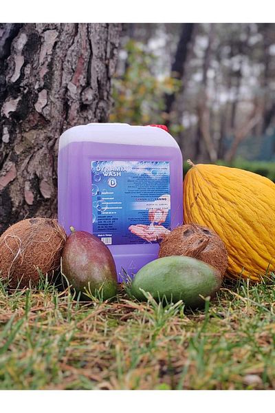 dynamix wash - Foam Hand Soap (for Foam Apparatus) 5kg - Fruit Fragrances