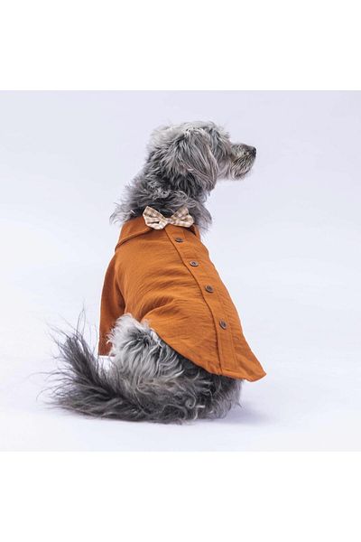 Pawstar Cat Dog Outfit - Linen Look Brown Shirt