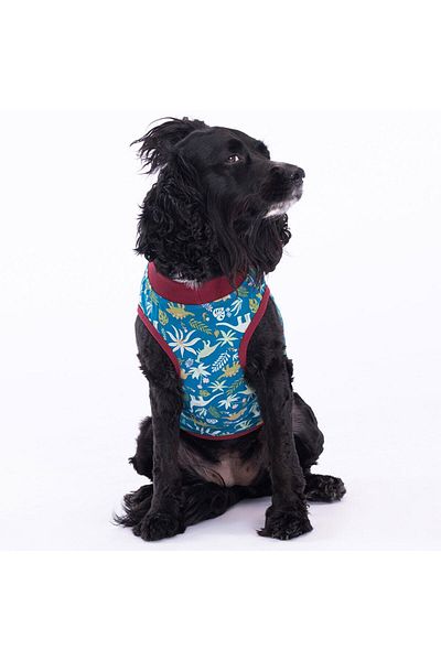 Pawstar Dino Cat Dog T-Shirt - Cat Dog Outfit