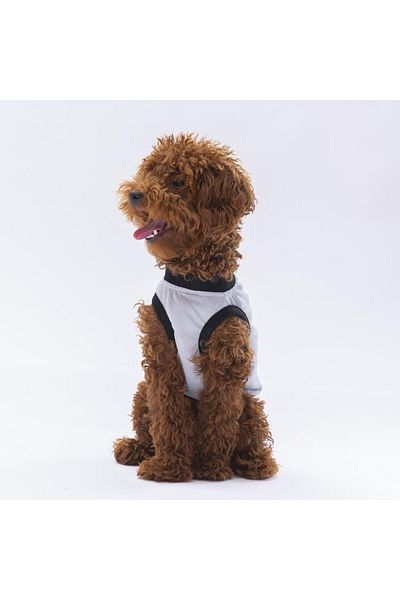 Pawstar Gray Travel Cat Dog T-Shirt - Cat Dog Outfit