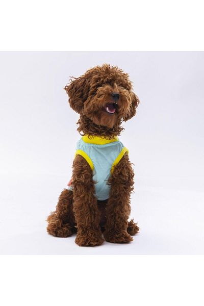 Pawstar Mint Sunrise Cat Dog T-Shirt - Cat Dog Outfit