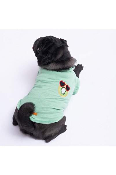 Pawstar Kiwi Polo Yaka Kedi Köpek T-shirt - Kedi Köpek Kıyafeti