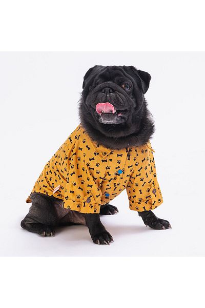 Pawstar Mustard Ossa Cat Dog Shirt - Cat Dog Outfit