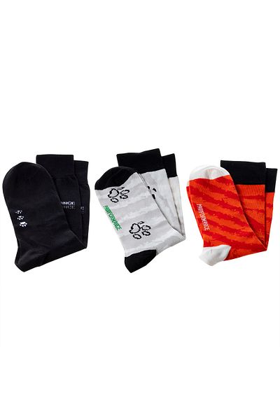 Biggdesign Dogs Men's Socks Set