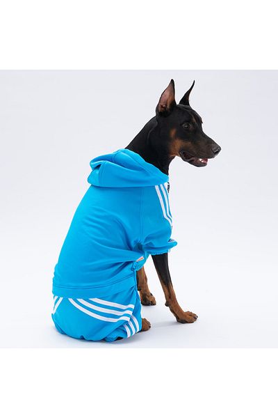 Pawstar Turquoise Tuta Medium and Large Breed Dog Jumpsuit Dog Outfit