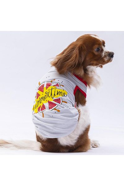 Pawstar Gray Summer Time Cat Dog Sweatshirts - Cat Dog Outfit
