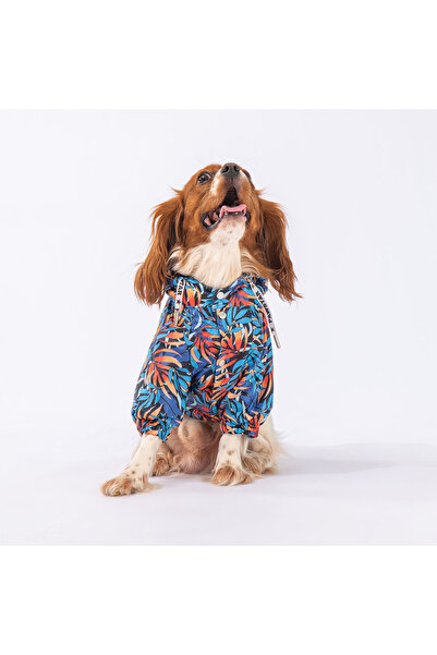 Pawstar Autumna Polarlı Köpek Montu Köpek Yağmurluk Köpek Kıyafeti Köpek Elbisesi